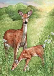 New Mother and Fawn | Obraz na stenu