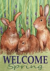 Bunnies Welcome Spring | Obraz na stenu