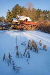 Pond Grasses | Obraz na stenu