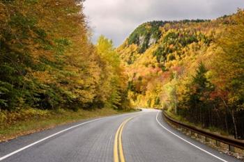 Way to Foliage | Obraz na stenu