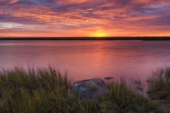 Windy Marsh | Obraz na stenu