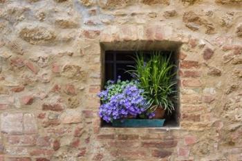 Pienza Window | Obraz na stenu