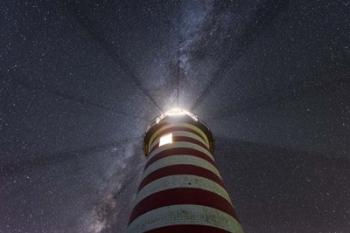 Looking Up | Obraz na stenu