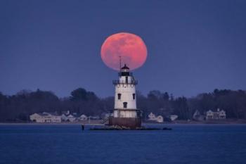 Conimicut Supermoon | Obraz na stenu