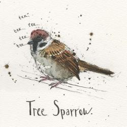 Tree Sparrow | Obraz na stenu