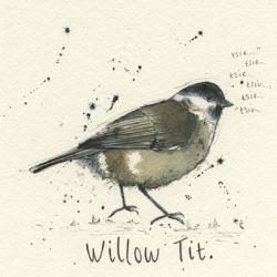 Willow Tit | Obraz na stenu