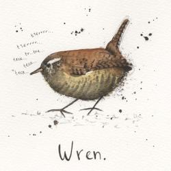 Wren | Obraz na stenu