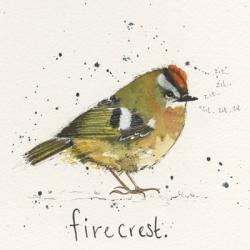 Firecrest | Obraz na stenu