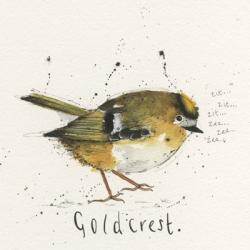 Goldcrest | Obraz na stenu