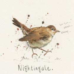 Nightingale | Obraz na stenu