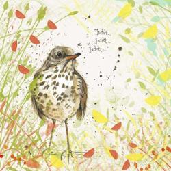 Song Thrush | Obraz na stenu