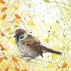 Tree Sparrow | Obraz na stenu