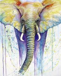 Elephant Colors | Obraz na stenu