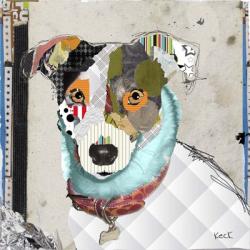 Jack Rusell Rat Terrier Mix | Obraz na stenu