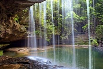 Alabama Caney Creek Veil | Obraz na stenu