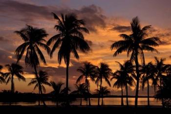 Marathon Key Sunset | Obraz na stenu