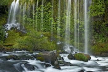 Mossbrae Falls | Obraz na stenu