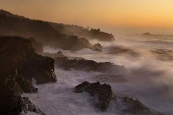 Oregon Shore Acres SP Dusk | Obraz na stenu