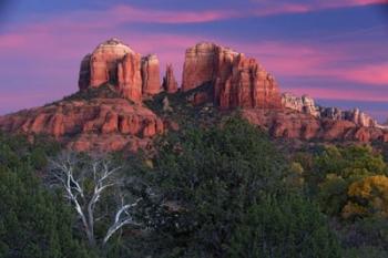 Sedona Cathedral Rock Dusk | Obraz na stenu