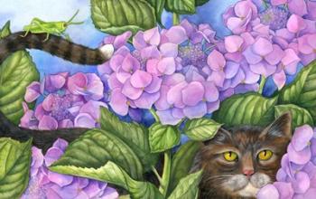 Cat in the Hydrangeas | Obraz na stenu