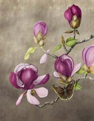 Magnolia and Butterfly | Obraz na stenu