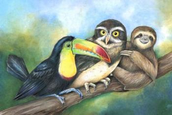 Toucan Owl Sloth | Obraz na stenu