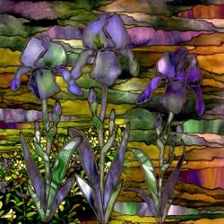 Sunset Irises | Obraz na stenu