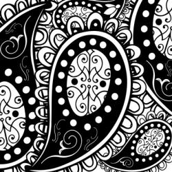 Paisley Party B/W | Obraz na stenu