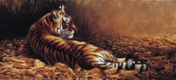 Reclining Tiger | Obraz na stenu