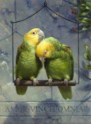 Pair of Lovebirds | Obraz na stenu