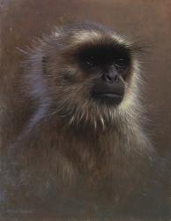 Monkey Portrait | Obraz na stenu