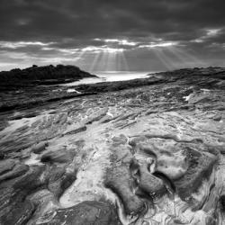 Sunset at Point Lobos | Obraz na stenu