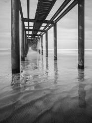 Muelle en Acapulco BW | Obraz na stenu