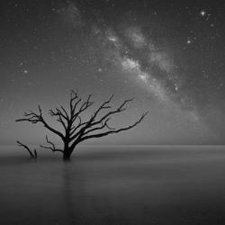 Milky Way In Botany Bay 2 | Obraz na stenu