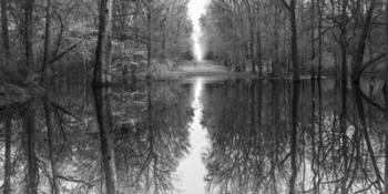 Suwanne Reflection Pano BW | Obraz na stenu