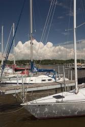 Sauagtuck Marina, Saugatuck, Michigan 10 | Obraz na stenu