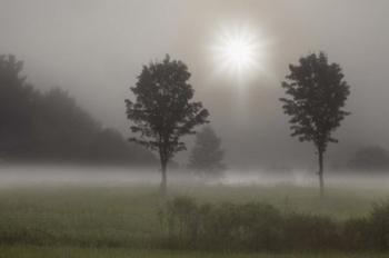 Two Trees & Sunburst, Logan, Ohio 10 | Obraz na stenu