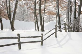 Winter Fence & Shadow, Farmington Hills, Michigan 09 | Obraz na stenu