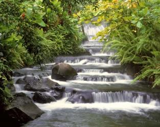 Terraced Falls | Obraz na stenu