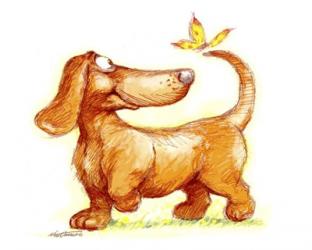 Dachshund & Butterfly | Obraz na stenu