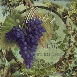 Wines of France III | Obraz na stenu
