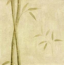 Bamboo Shoots | Obraz na stenu