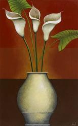 Calla Lily Display II | Obraz na stenu