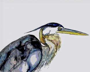 Blue Heron | Obraz na stenu