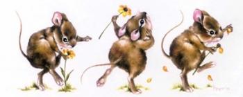 Mouse And Flower | Obraz na stenu