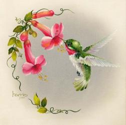 Hummingbirds With Trumpet Flowers 1 | Obraz na stenu