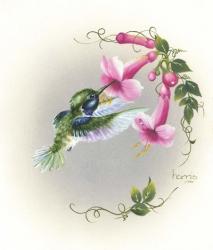 Hummingbird With Trumpet Flowers 2 | Obraz na stenu