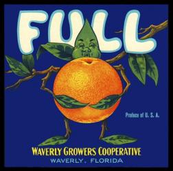Full Florida Citrus | Obraz na stenu