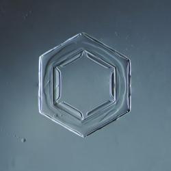 Hexagonal Plate Snowflake 003.2.2014 | Obraz na stenu