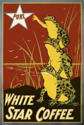 Pure White Star Coffee, Frogs | Obraz na stenu